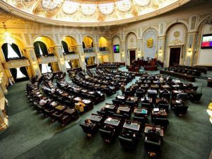 Senatul a adoptat un proiect care anulează pensiile speciale ale parlamentarilor
