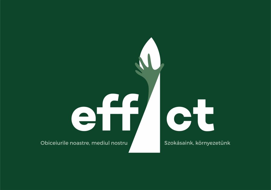 Biroul pentru Tineret din Sfântu Gheorghe lansează programul eddAct