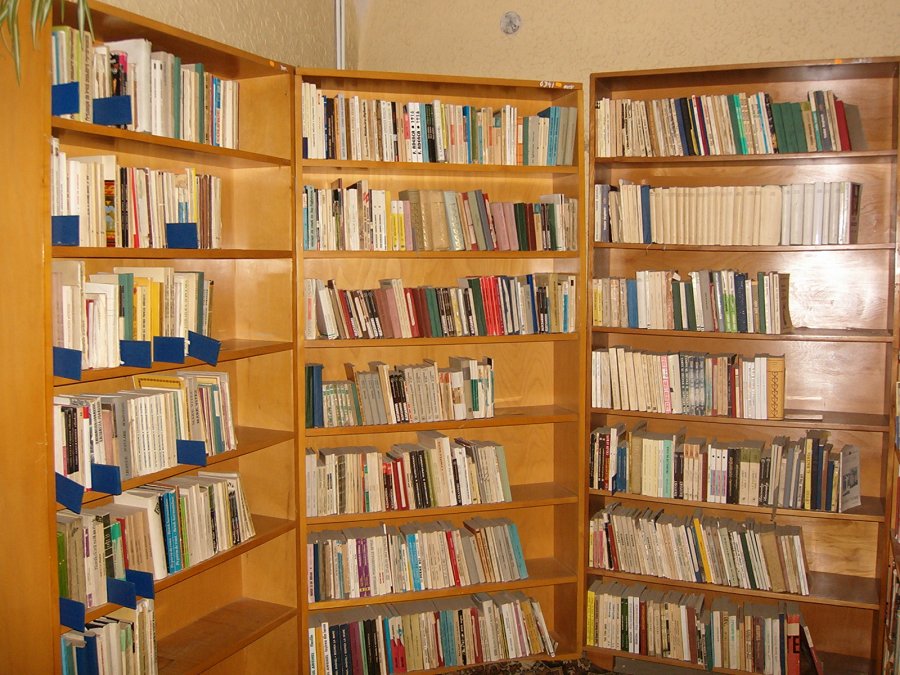 Reprezentanți ai ambasadei SUA, la biblioteca județeană