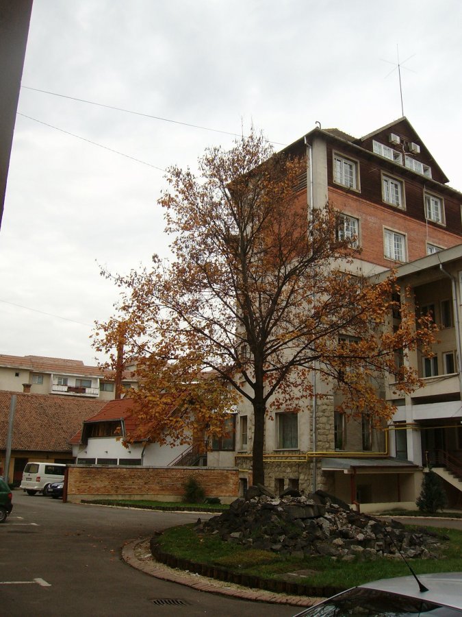 Fostul sanatoriu construit de medicul Fogolyan Kristoff, scos la vânzare de moştenitori