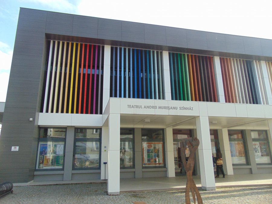 TAM, în 2020: zeci de spectacole, pentru un număr de 14.000 de spectatori online și offline