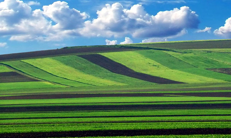 Avocatul Ioan Sabău, despre tunul imobiliar pe care îl pregătește Guvernul. Ce modificări aduce proiectul de lege