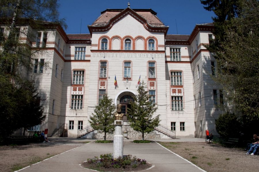 La Colegiul Național „Mihai Viteazul” se învață doar online, din cauza frigului din clase 