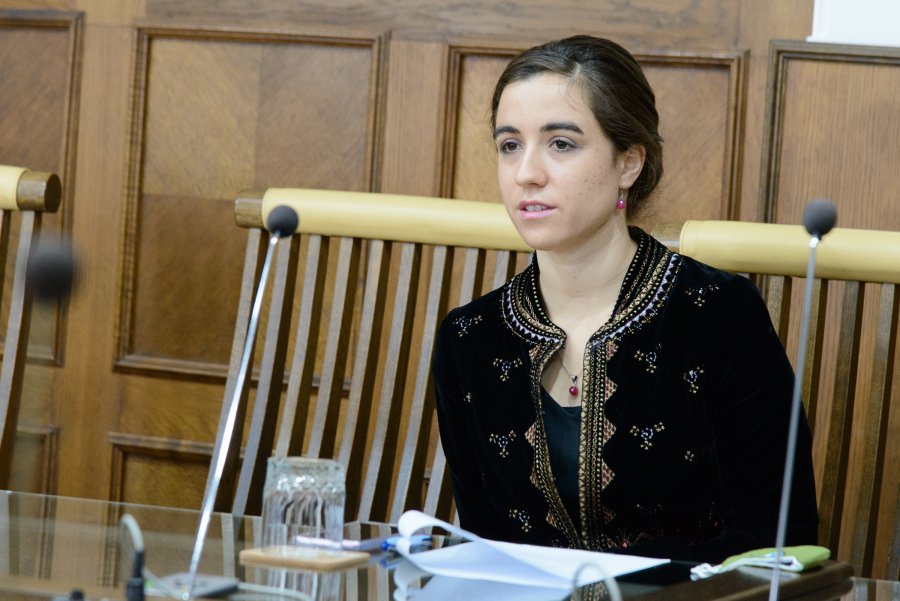 Universitate de Arte la Sfântu Gheorghe, de anul viitor