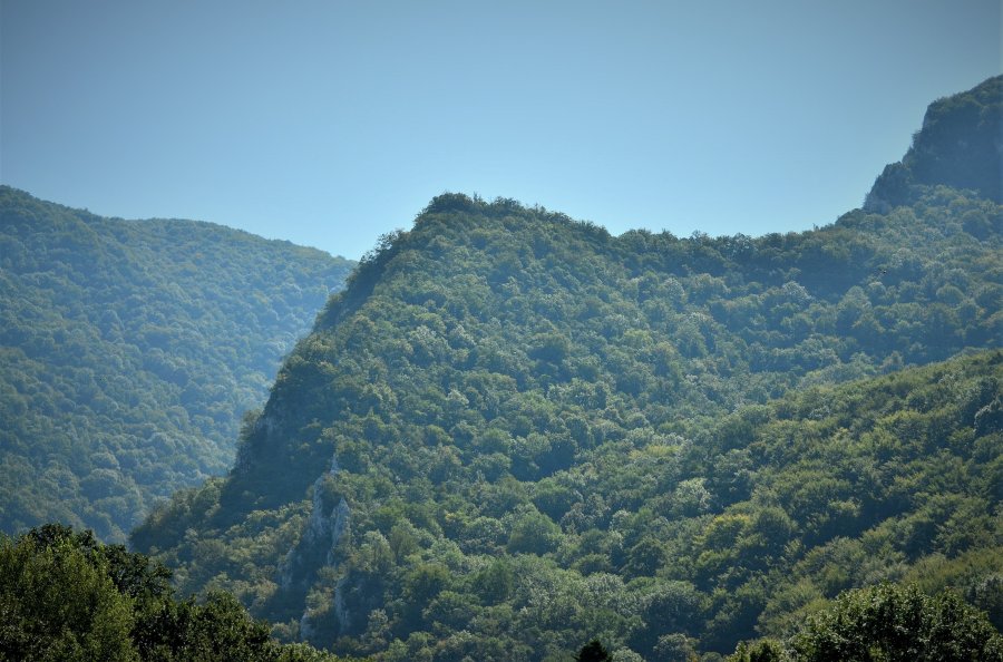 O nouă șansă pentru recuperarea în patrimoniul statului a celor 43.227 hectare de pădure din județul Bacău retrocedate ilegal