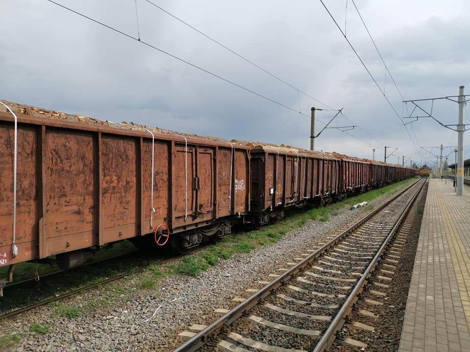 Cantitatea de 1.659,84 m.c. material lemnos provenit din străinătate, fără niciun  document de transport,  a fost confiscată  