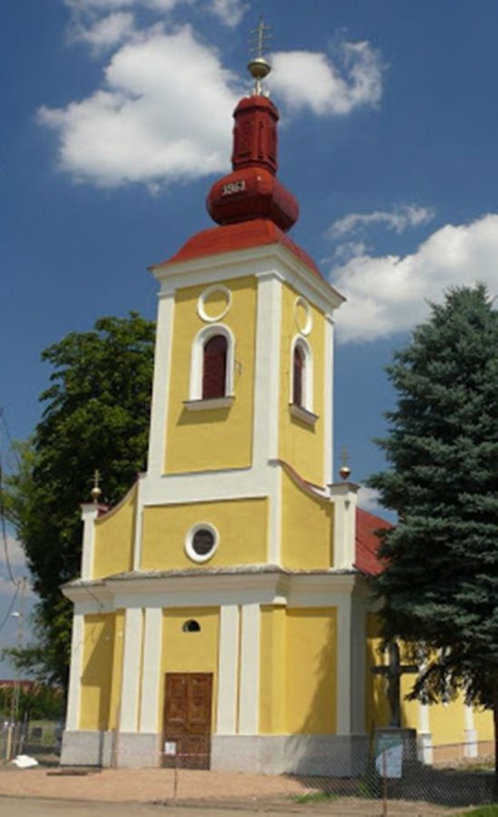 Jurnal din anii ciumei Covid 19  Deznaţionalizarea românilor din Ungaria (sec. XIX-XX) (I)