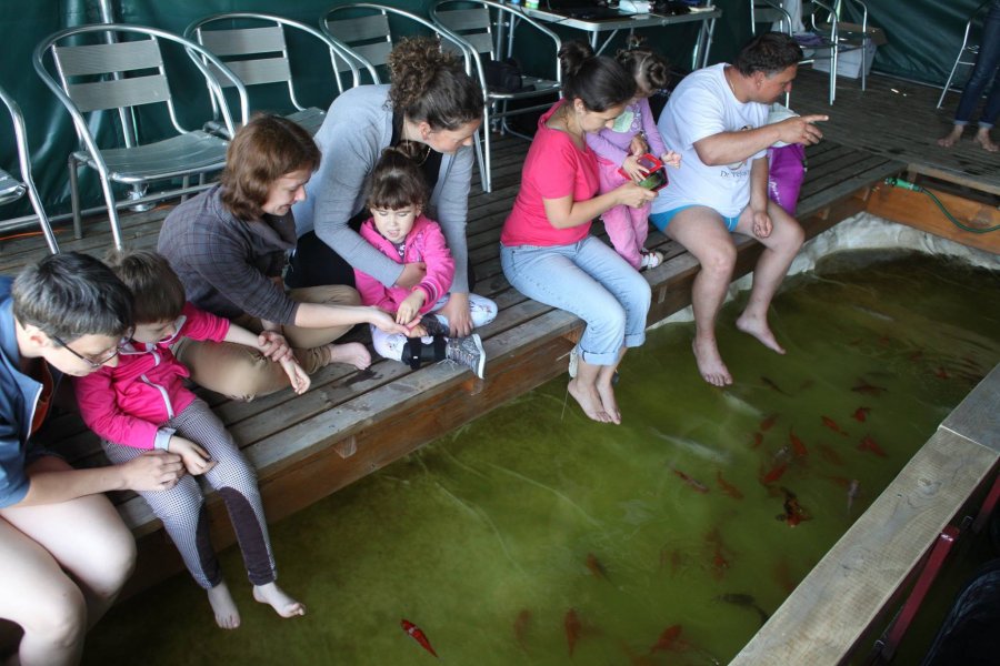 Asociația Centrul de Cercetări Subacvatice, finanțată prin programul „MOL pentru sănătatea copiilor”