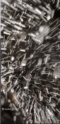 Vernisaj de fotografii, astăzi, în centrul municipiului Sf. Gheorghe