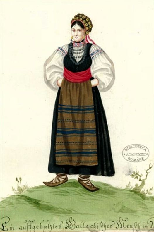 Jurnal din anii ciumei Covid 19  A fost Transilvania un “principat maghiar” sau întotdeauna o ţară românească? (XIV)