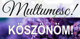Primăria Sfântu Gheorghe va subvenţiona din bugetul local un program multianual de învăţare a limbilor română şi maghiară