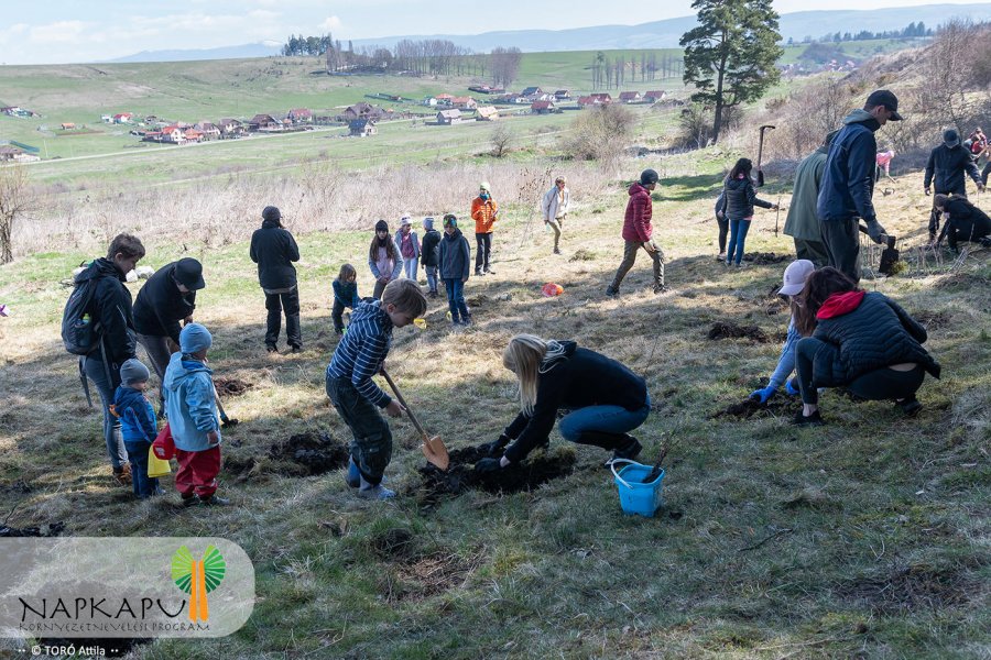 5.000 de puieţi vor fi plantaţi la ieşirea din Sfântu Gheorghe, prin proiectul „Poarta Soarelui”