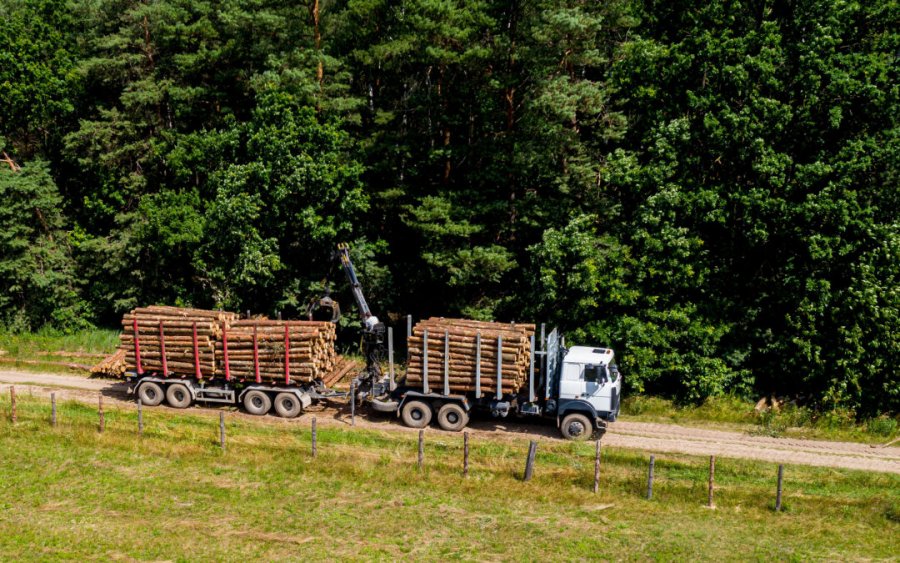 Tanczos: Nu cred că în 2021 îşi mai permite cineva să facă defrişări ilegale, pentru că va ajunge la puşcărie