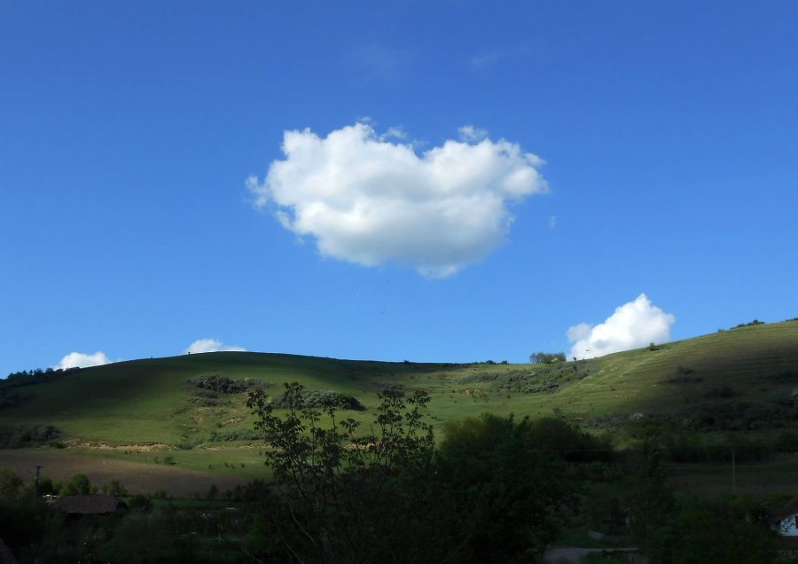 Jurnal din anii ciumei Covid 19  Norocul cel constant şi sublim al vieţii noastre