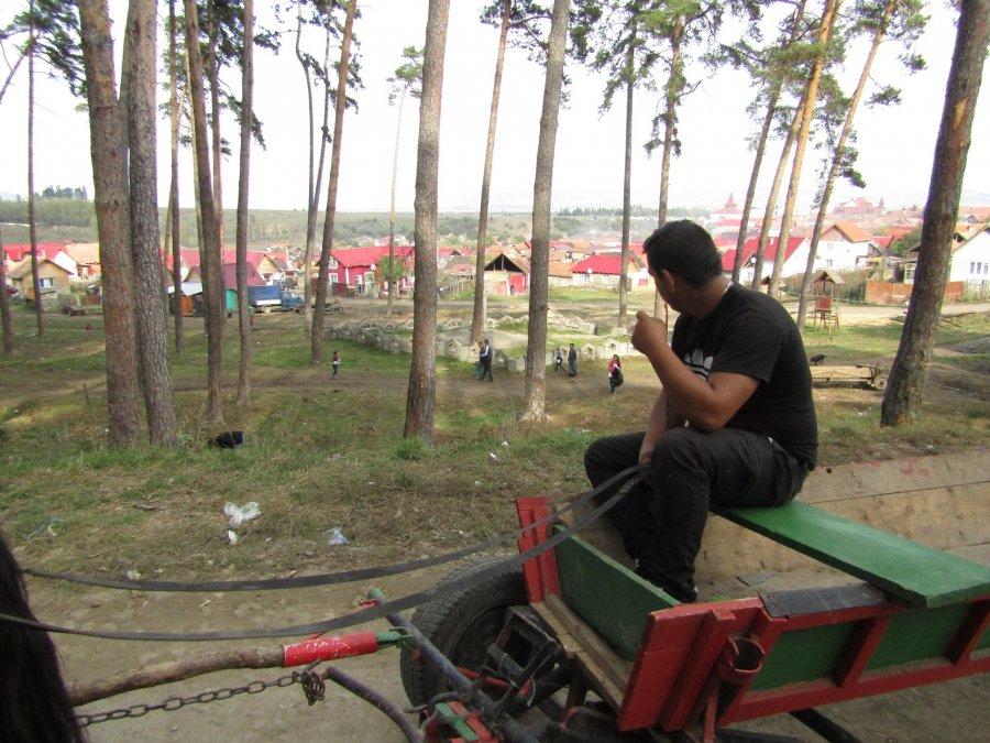 3 apeluri de proiecte 6 proiecte propuse spre finanțare, încheiate cu succes de Asociația GAL Sepsi