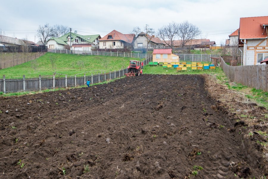 Astăzi, 10 mai, începe recensământul general agricol şi la Sfântu Gheorghe