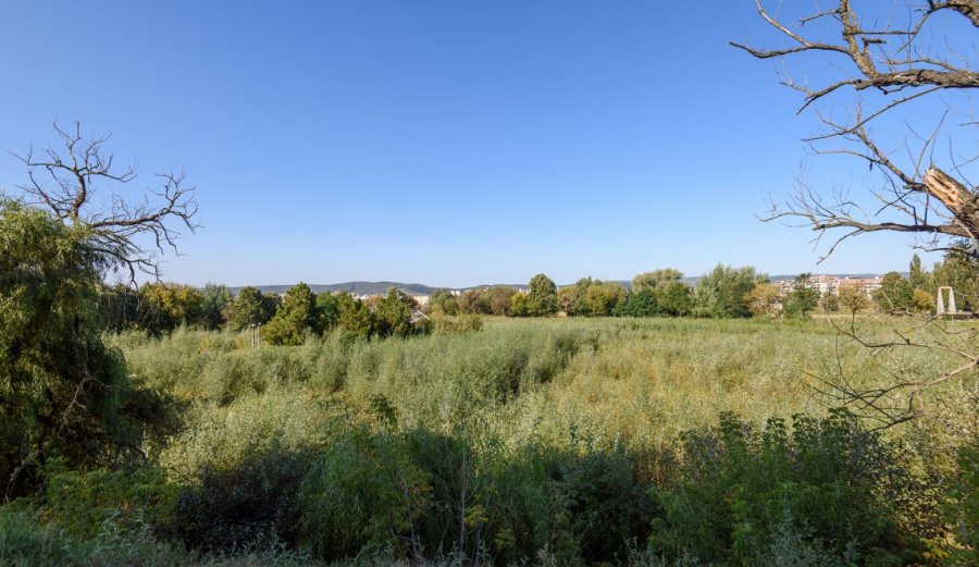 Primăria Sfântu Gheorghe anunţă începerea lucrărilor de reabilitare a lacului din zona Gării