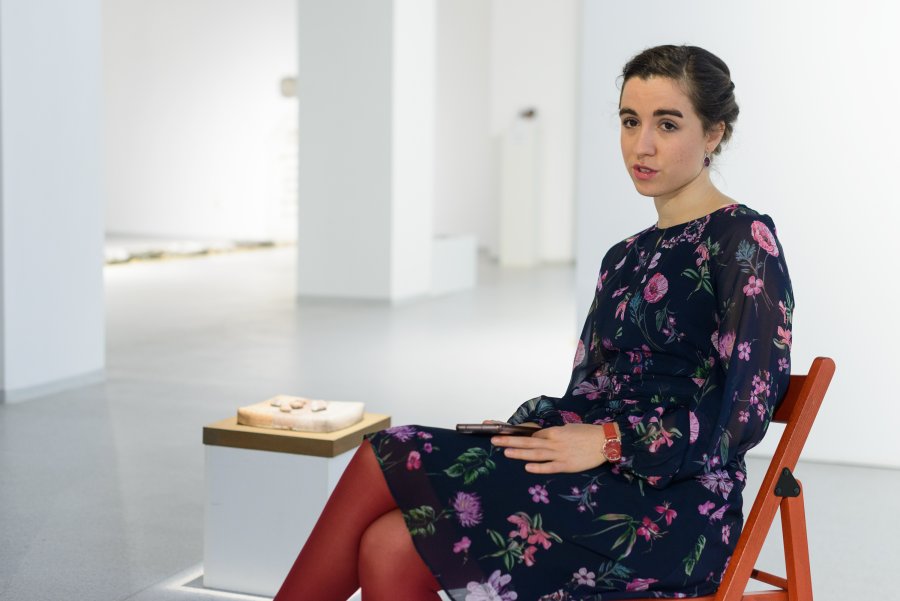 Facultate de Arte Plastice, deschisă în toamnă la Sfântu Gheorghe