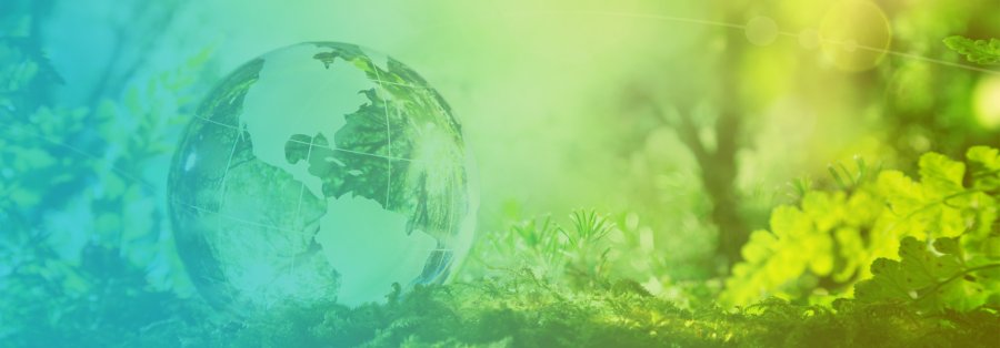 Reciclarea deseurilor din plastic pentru o economie circulara: ce responsabilitati au firmele si cine le ajuta