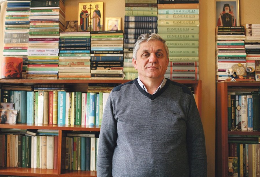 Drama semințelor românești -COSTEL VÂNĂTORU: „Vorbim despre dispariția unui adevărat tezaur, poate mai valoros decât cel de la Banca Națională”