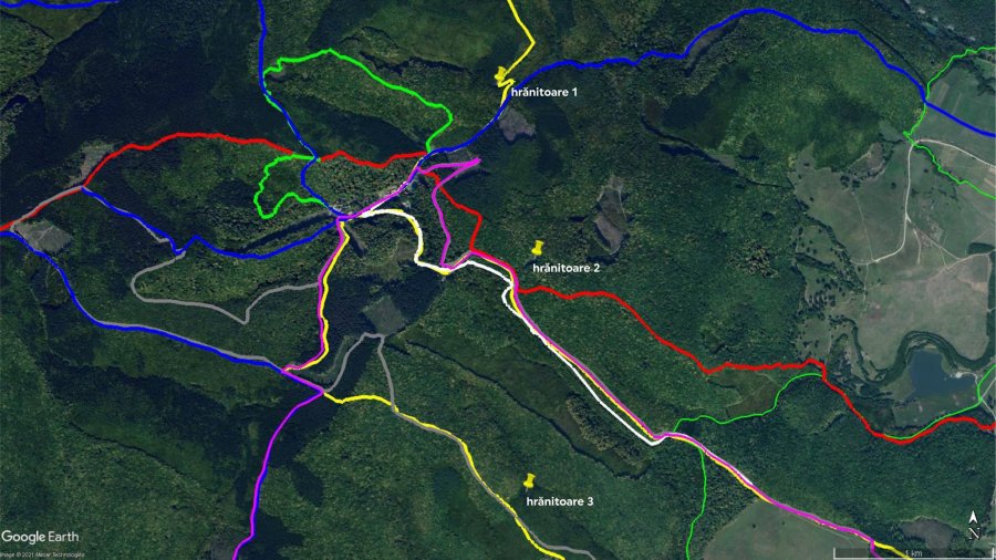 Autorităţile avertizează turiştii că au apărut trasee neomologate de Salvamont, care pot fi periculoase