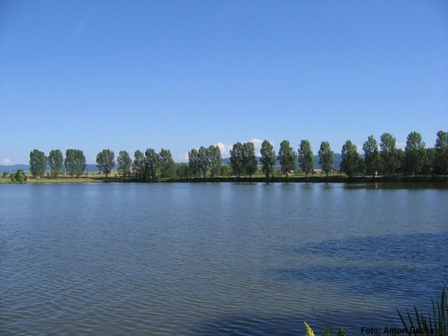 Insule plutitoare pentru protejarea biodiversităţii, amplasate în mai multe lacuri din judeţ