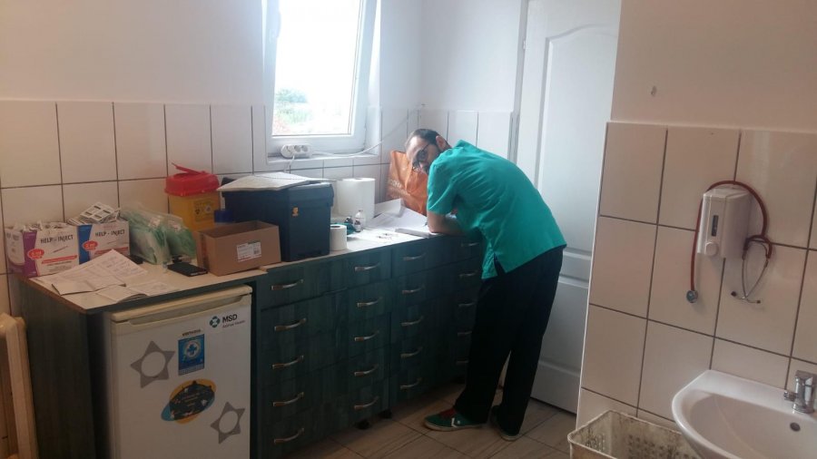 25 de câini au fost sterilizați. Următoarea campanie de sterilizare va avea loc în 17 iulie