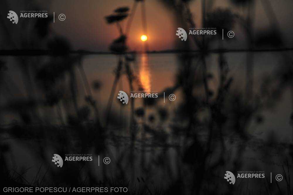 Viaţa pe Terra va fi inevitabil transformată de schimbările climatice în următorii 30 de ani (raport GIEC)