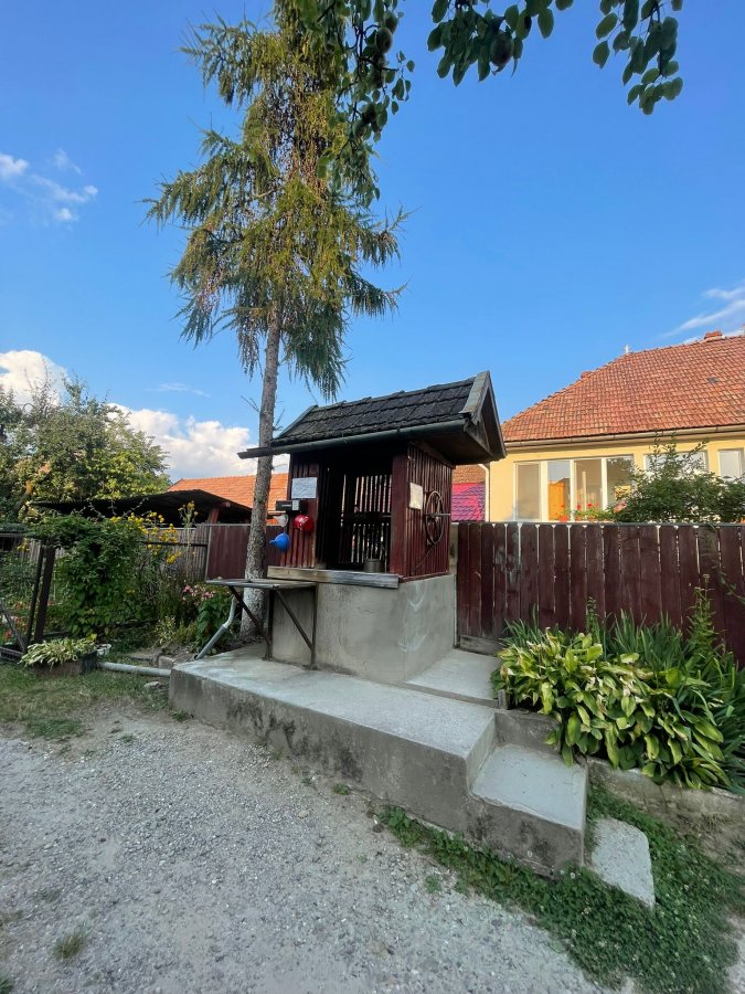 Ioan Luca din Voineștii Covasnei și povestea „izvorului de la 45”