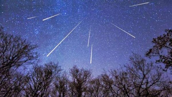 DOCUMENTAR: Curentul de meteori Perseide – faza maximă (11/12 august)