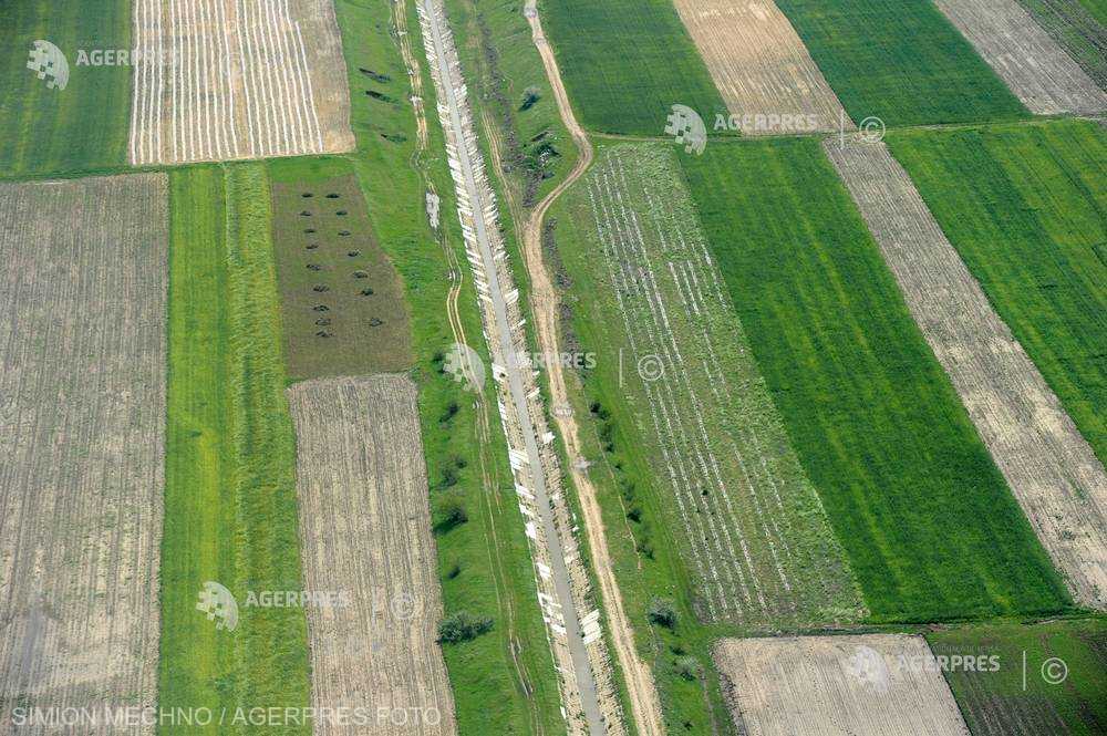 Guvernul a aprobat cuantumul per hectar al plăţilor unice pe suprafaţă pentru anul 2021