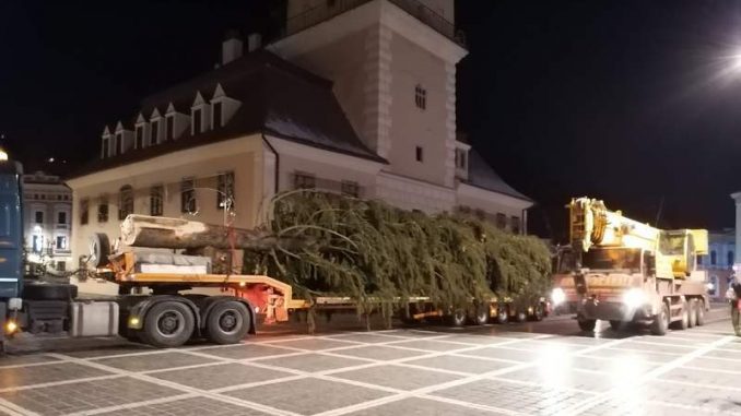 Impunătorul Brad de Crăciun a ajuns în Piața Sfatului din Brașov