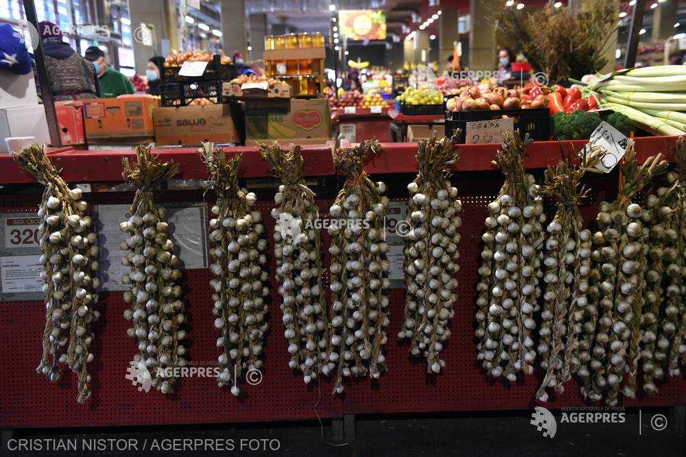 Ministerul Agriculturii alocă peste 22 de milioane de lei în acest an pentru susţinerea producţiei de usturoi