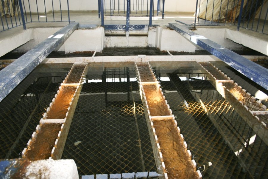 Ziua porților deschise la staţia de tratare a apei potabile