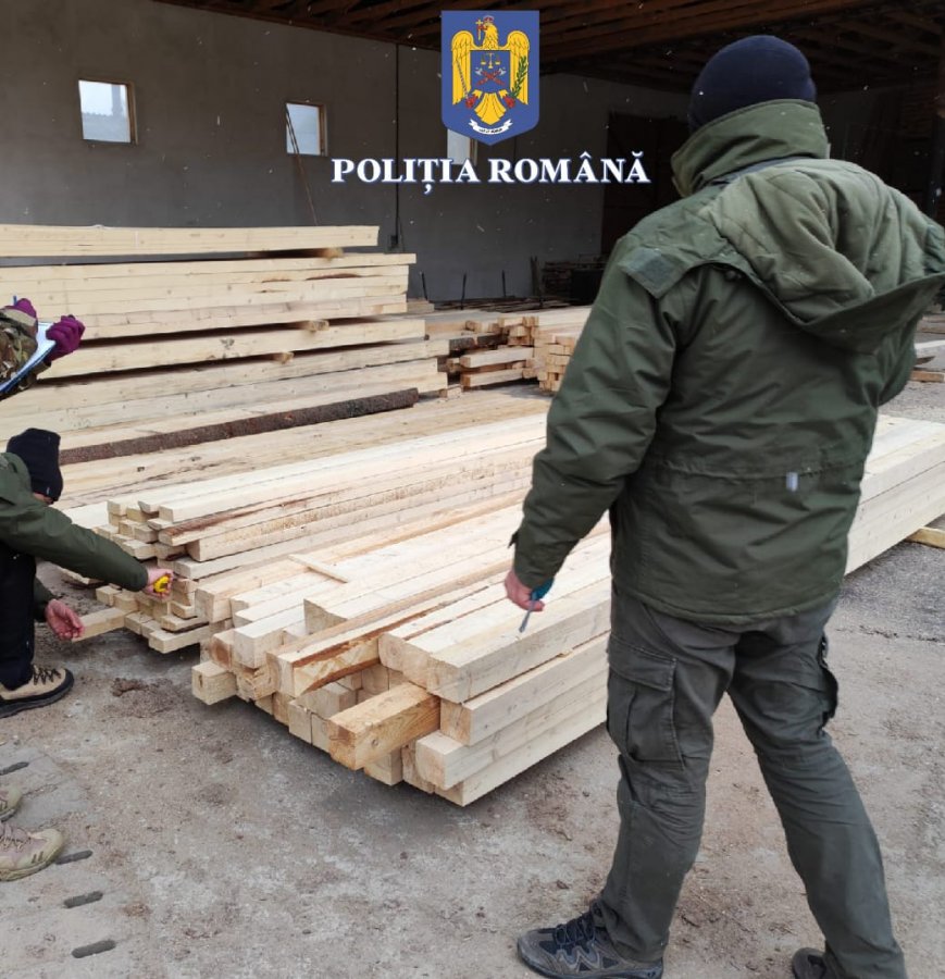 Amenzi în valoare de 176.000 lei în urma unei ample acţiuni de combatare a infracţiunilor silvice