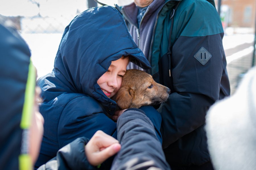 Câinii de la Adăpost îşi caută stăpâni în şcoli