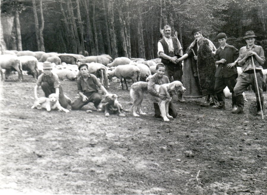 La stână la Mișu Manea