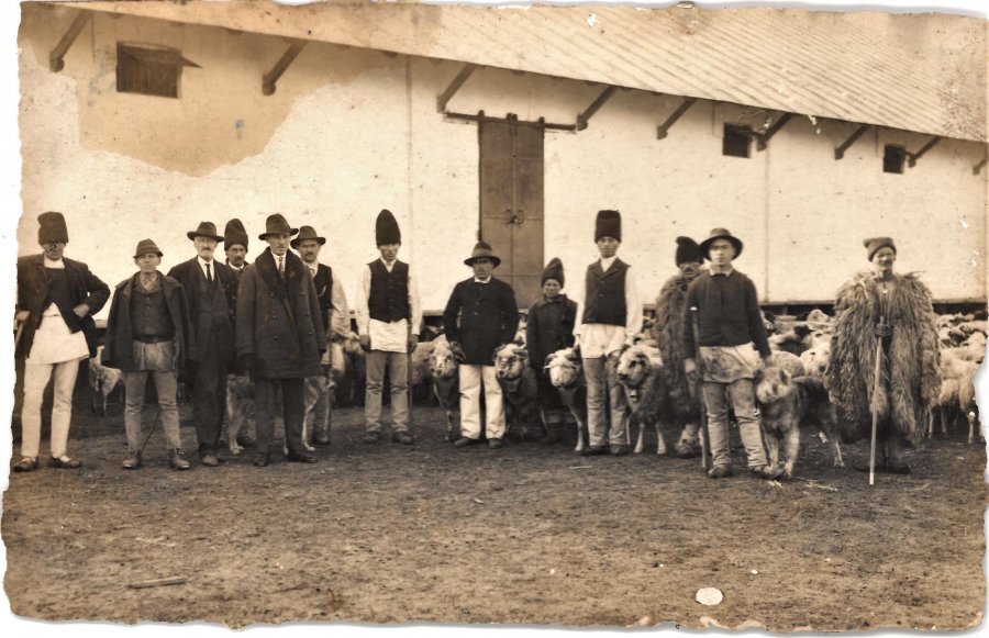 Ciobani din Brețcu fotografiați de Costică Acsinte