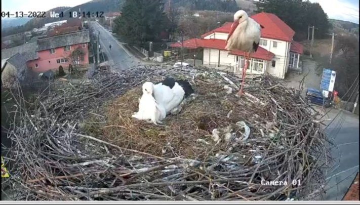 Atenție, se filmează! 29 de camere de supraveghere video au fost montare în Întorsura Buzăului