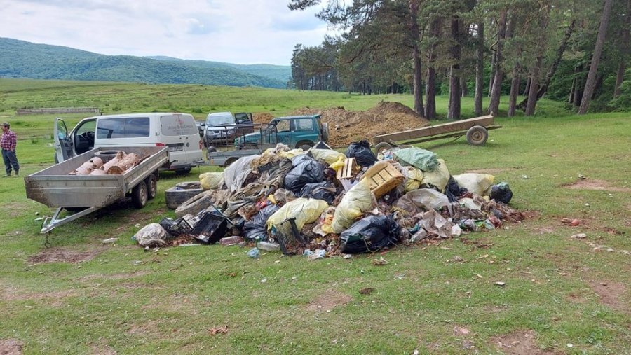 30 aprilie- ziua acțiunii de ecologizare la Valea Mare