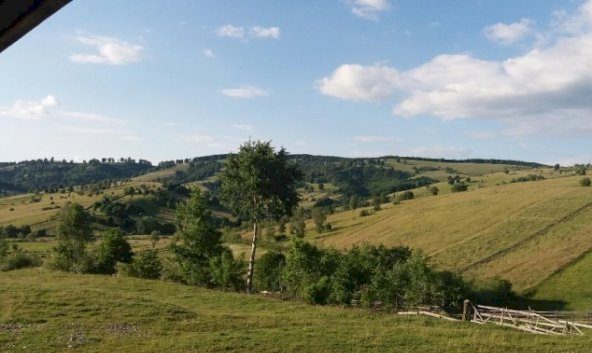 Nicușor Boricean  a fost reales în funcția de președinte al Asociației AGROZOOTUR din Barcani