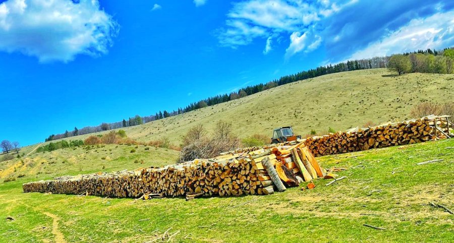 La Barcani se schimbă regulile după care se acordă lemnul de foc