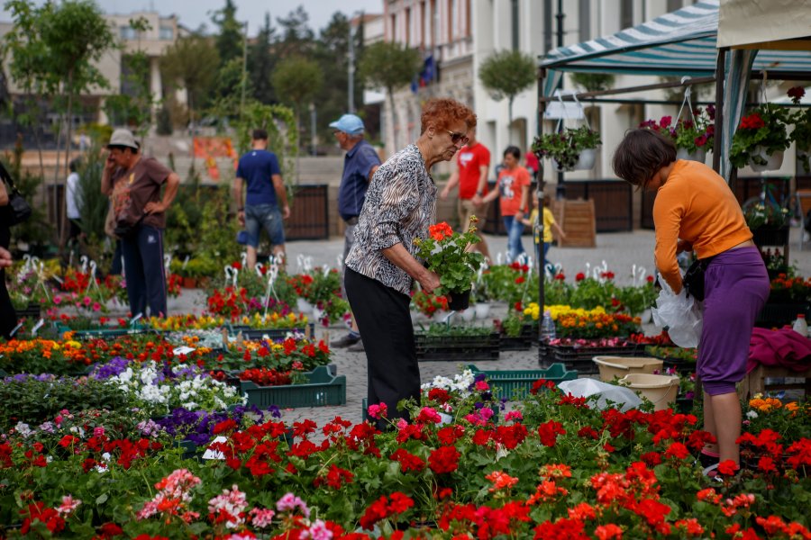 Târg de flori în weekend în Piaţa Centrală din Sfântu Gheorghe
