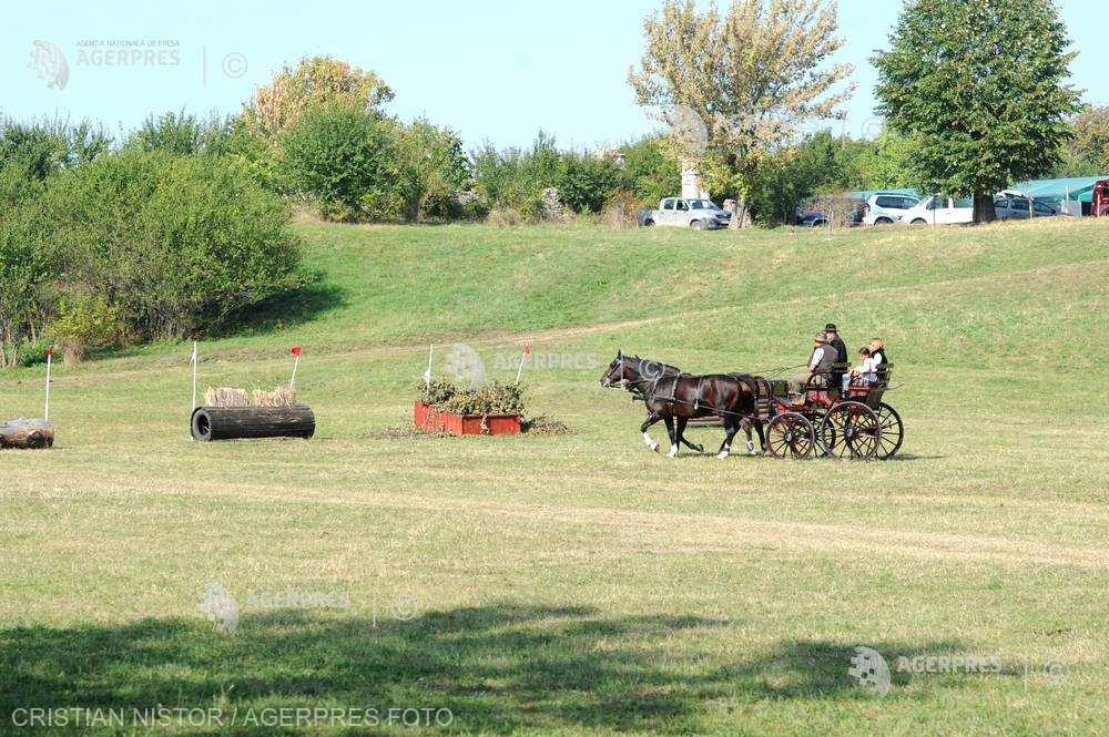19 echipe din România şi Ungaria, la Concursul Internaţional de Atelaje de la Olteni