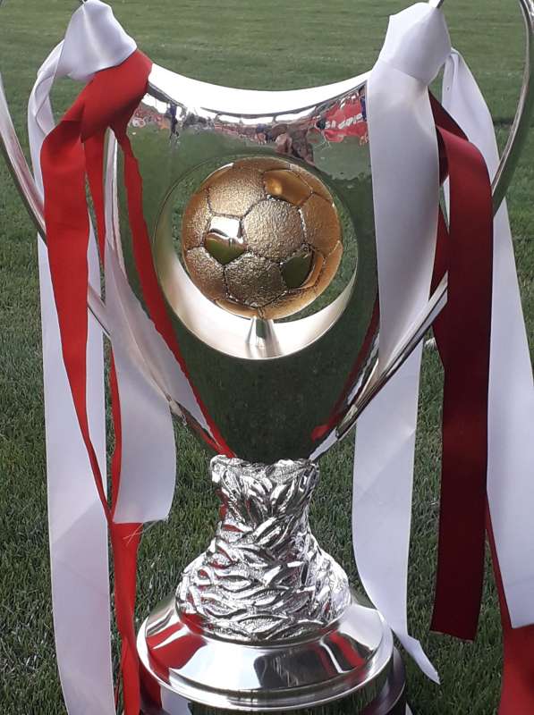 Sepsi Sf. Gheorghe câștigă al doilea trofeu din istoria clubului » Dan Petrescu rămâne fără triumf în Supercupă