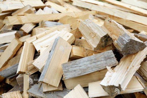 Ministerul Mediului propune un ajutor de 150 lei/mc pentru lemnul de foc destinat încălzirii