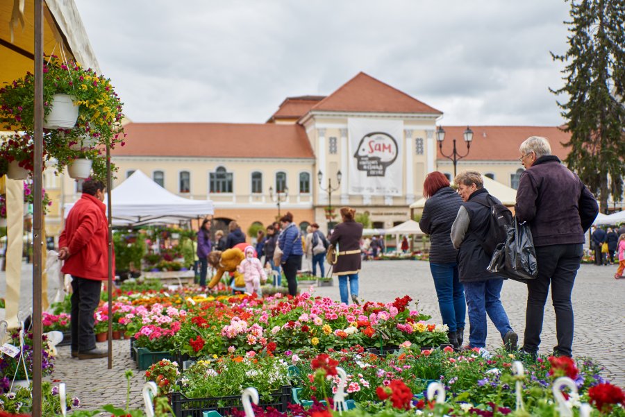 Târg de flori în centrul municipiului Sfântu Gheorghe