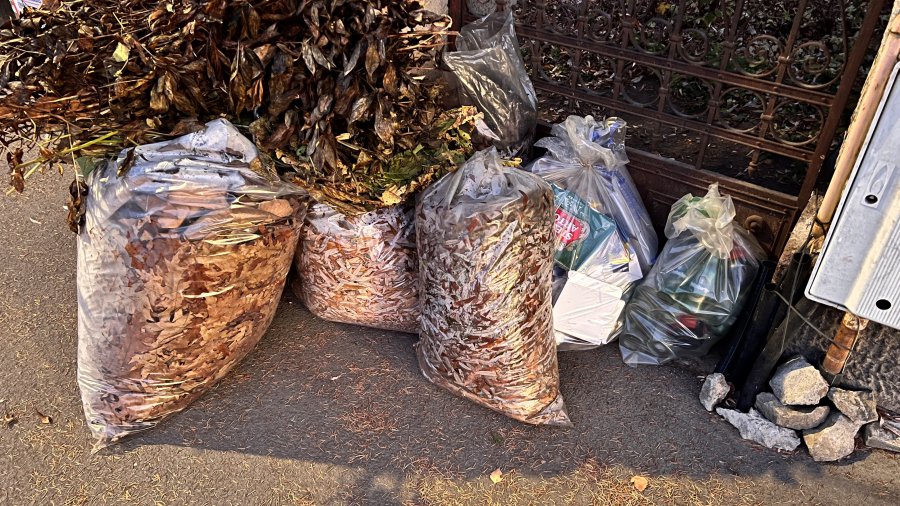 Apelul TEGA, către locuitori: nu colectaţi frunzele în sacii transparenți destinați deșeurilor selective!