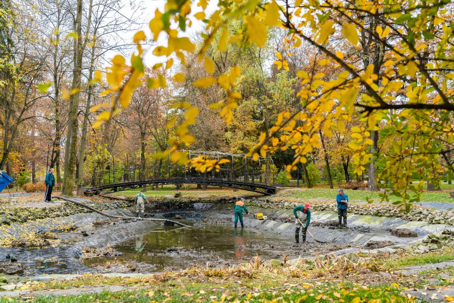 Lacul parcului central din Sfântu Gheorghe va fi curăţat; ţestoasele, nuferii şi peştii, mutaţi temporar