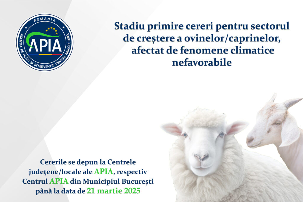 COMUNICAT DE PRESĂ: 21 martie 2025 – termen final de primire cereri pentru sectorul de creștere a ovinelor/caprinelor, afectat de fenomene climatice nefavorabile